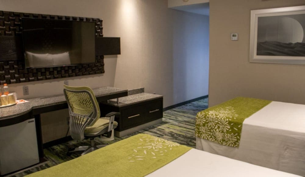 Hotel Araiza San Luis photo 9