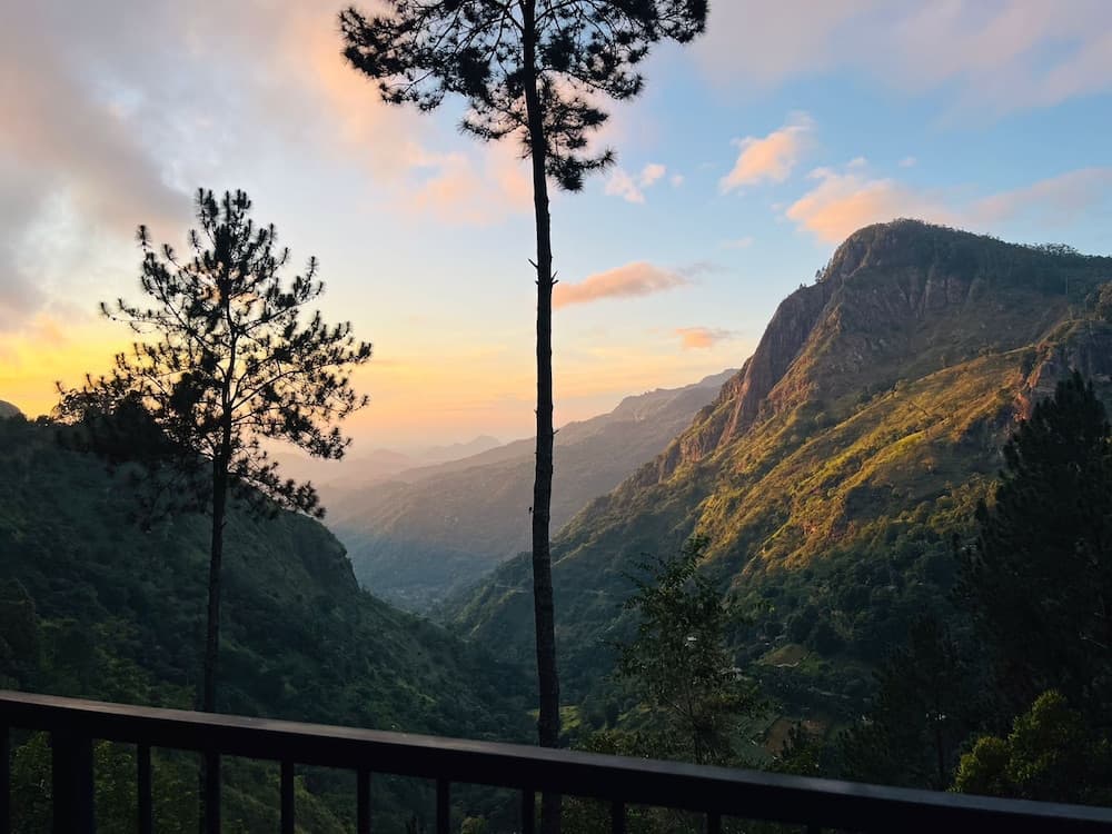 Belmount Ella