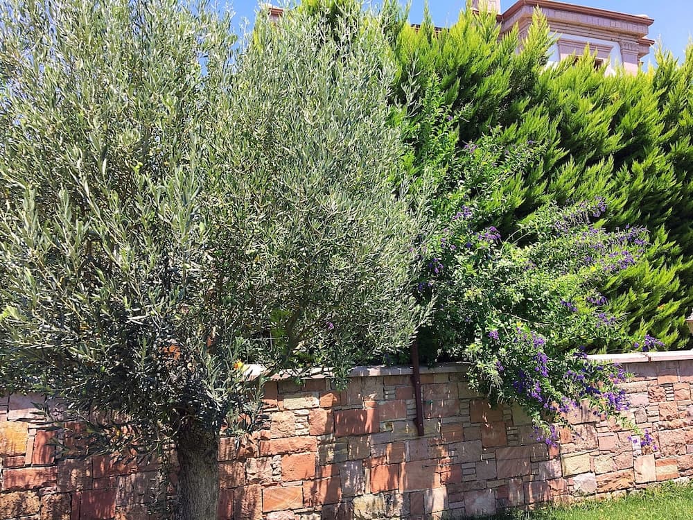 Vrodi By House photo 6