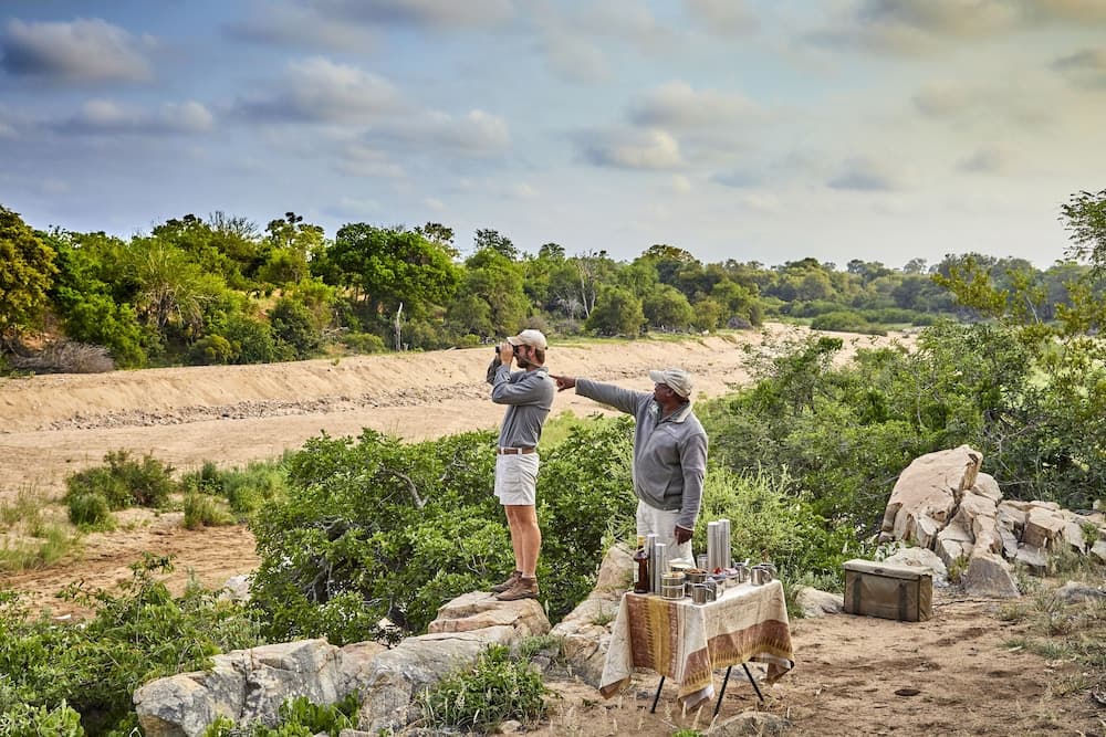 Motswari Private Game Reserve Resort by NEWMARK photo 8
