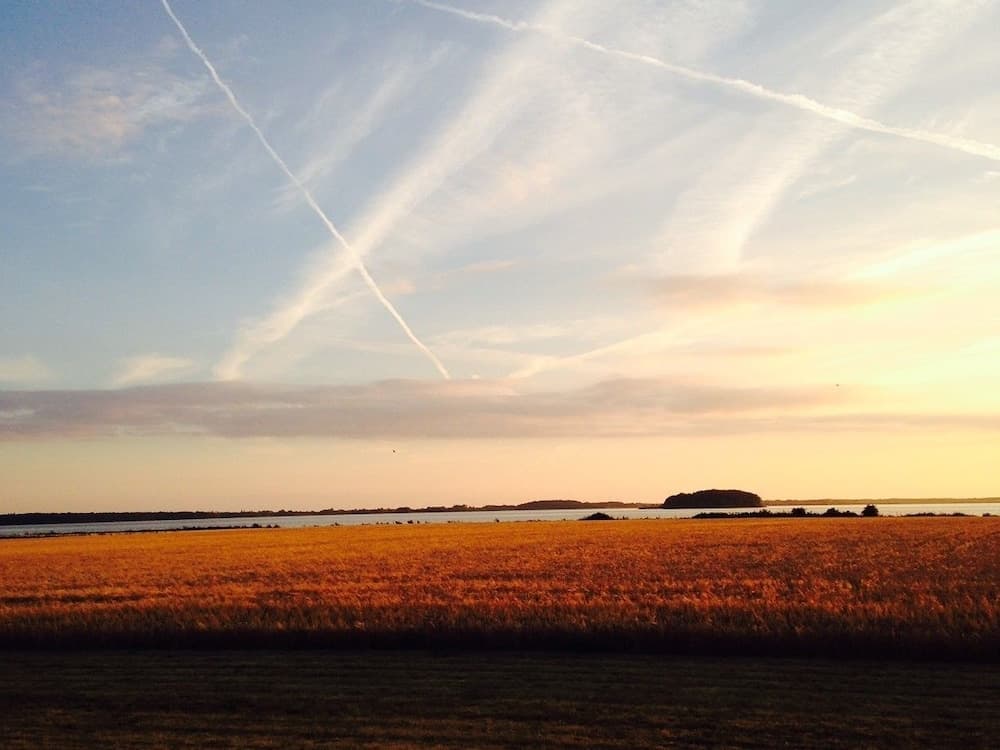 Askø Bed & Breakfast photo 5