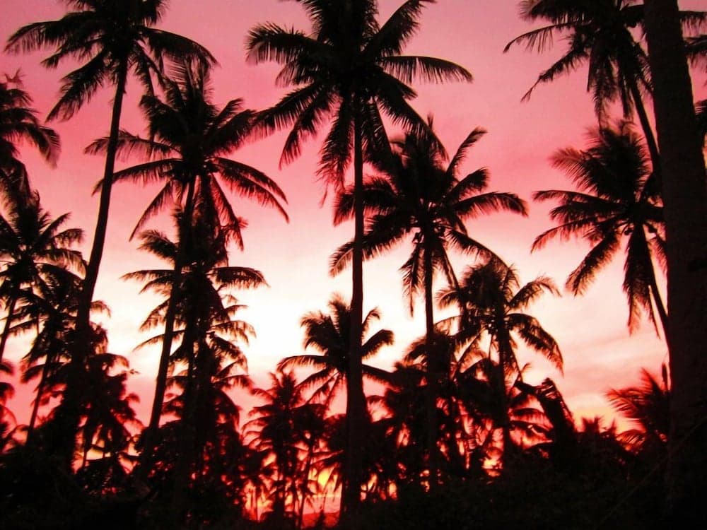Balay de la Rama Bed & Breakfast photo 9