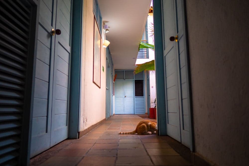 Aluna Hostel B&B photo 9