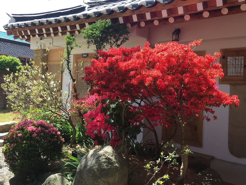 Taejomaru photo 8