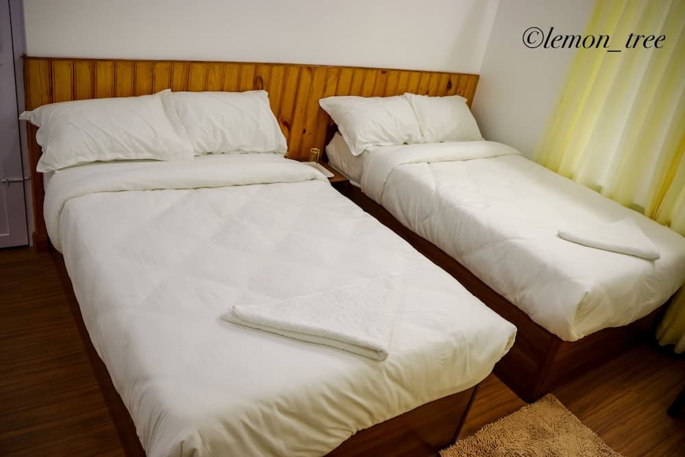 Lemon Tree Apartment and Homestay photo 6