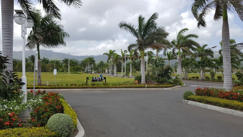 Ocho Rios Villa at Coolshade V photo 8