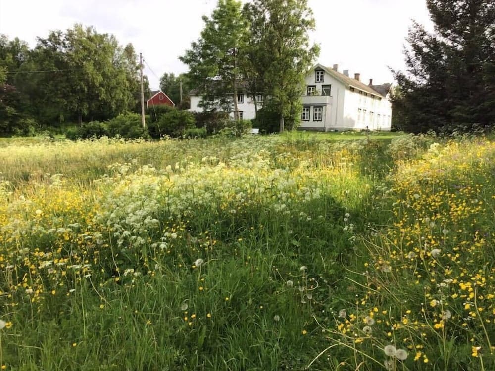 Skagen Gaard photo 4