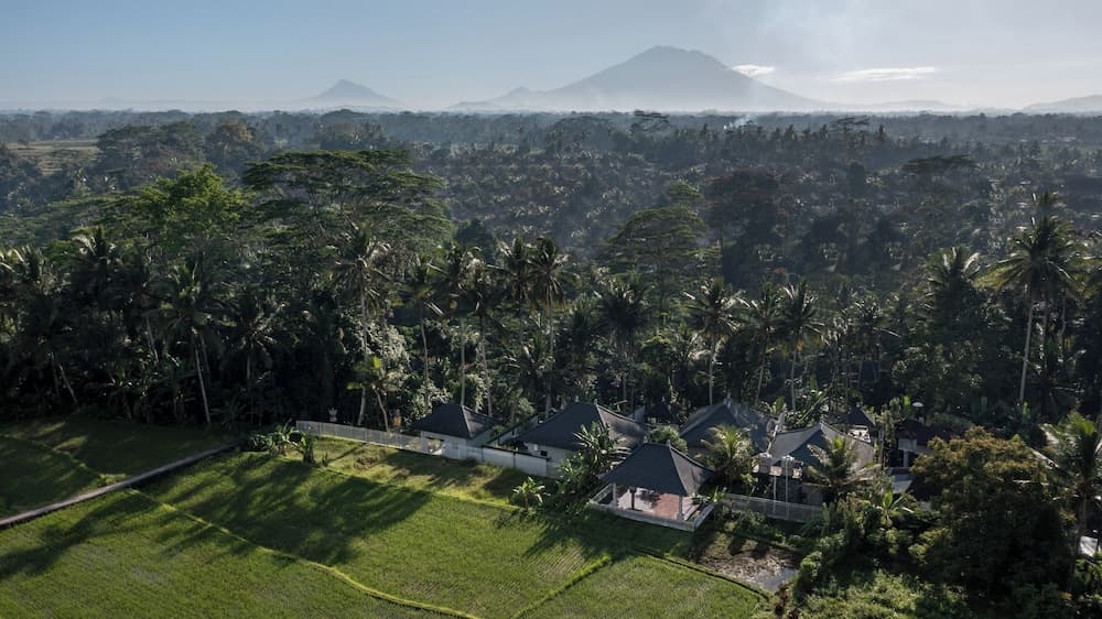 Capung Asri Ubud photo 8