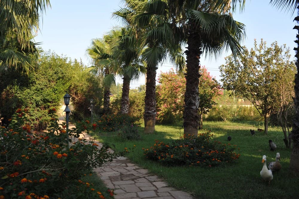 Hemerans Anatolia Otel photo 5