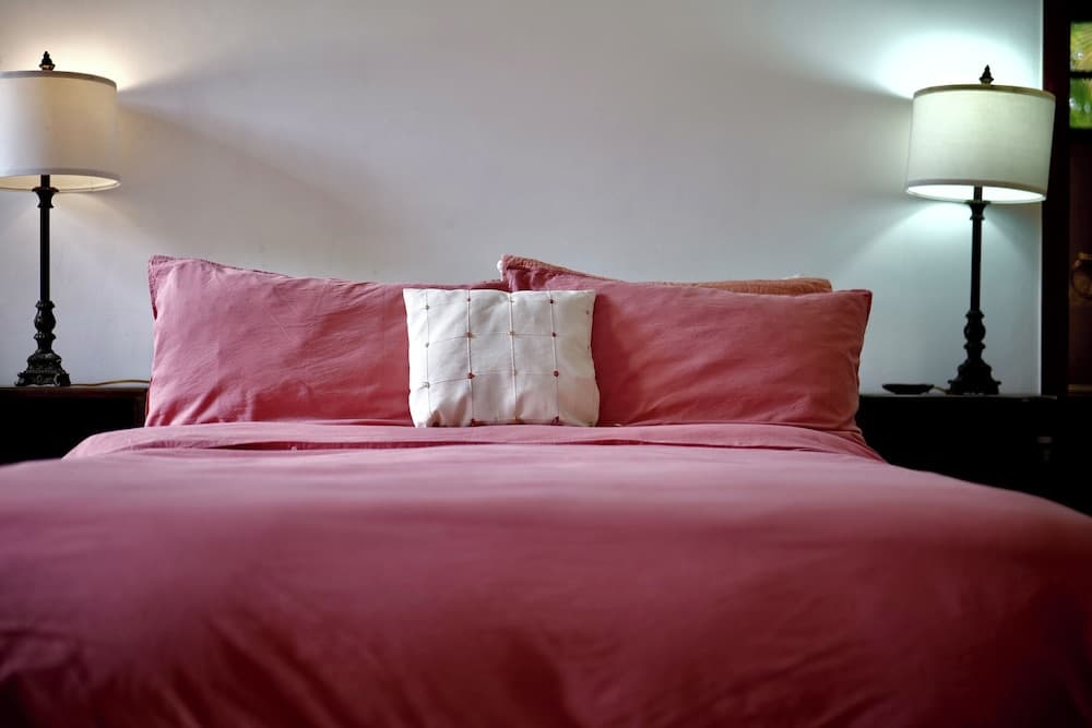 Villa Aurora Juan Dolio GuavaBerry