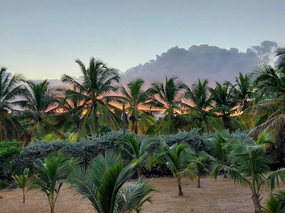 Punta Cana Ecolodge photo 3