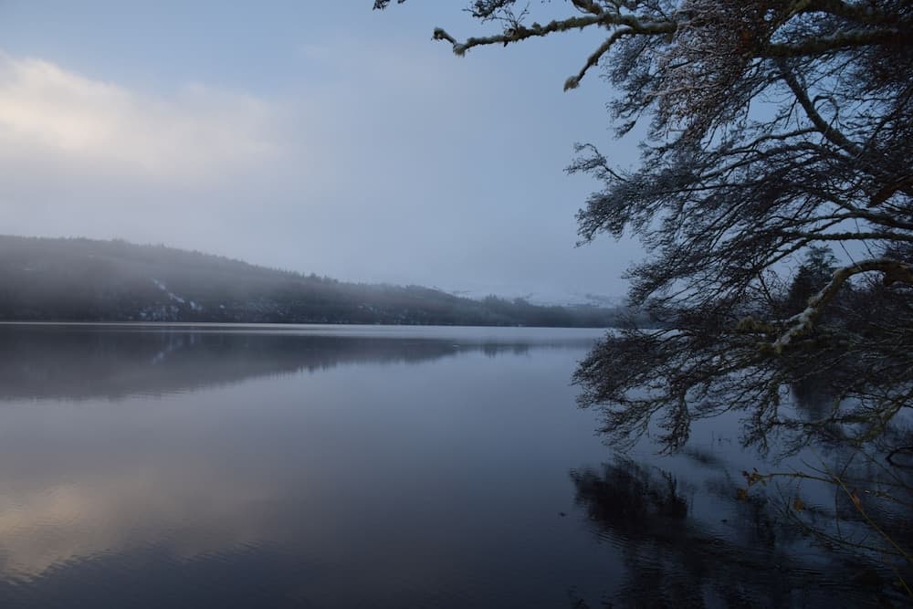 Lochview Guesthouse photo 8
