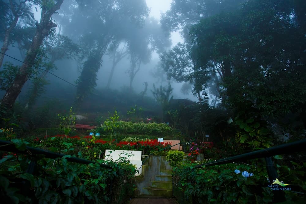 Misty Mountain Resort photo 2