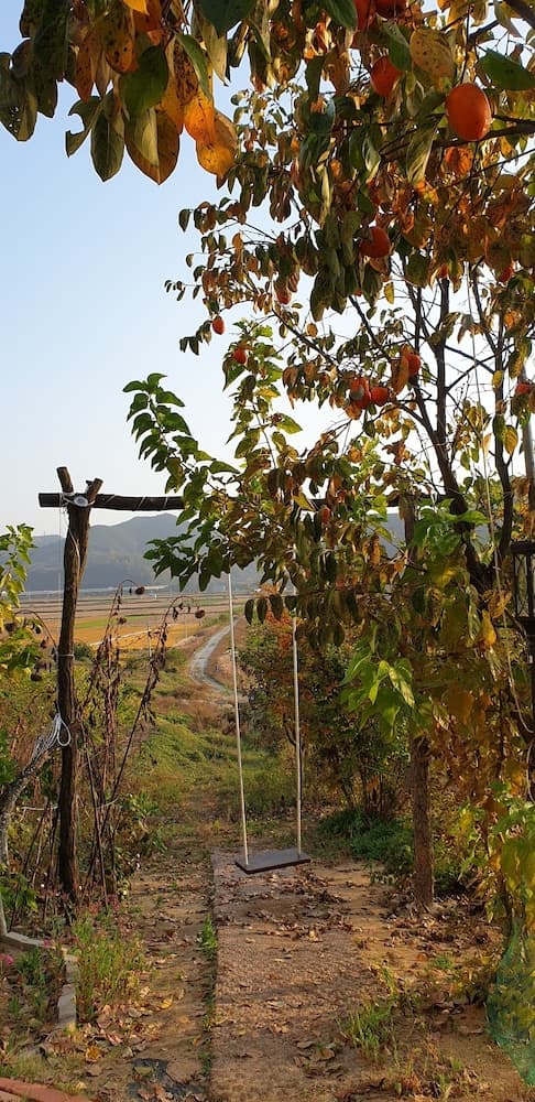 Andong River Sunset Pension photo 2