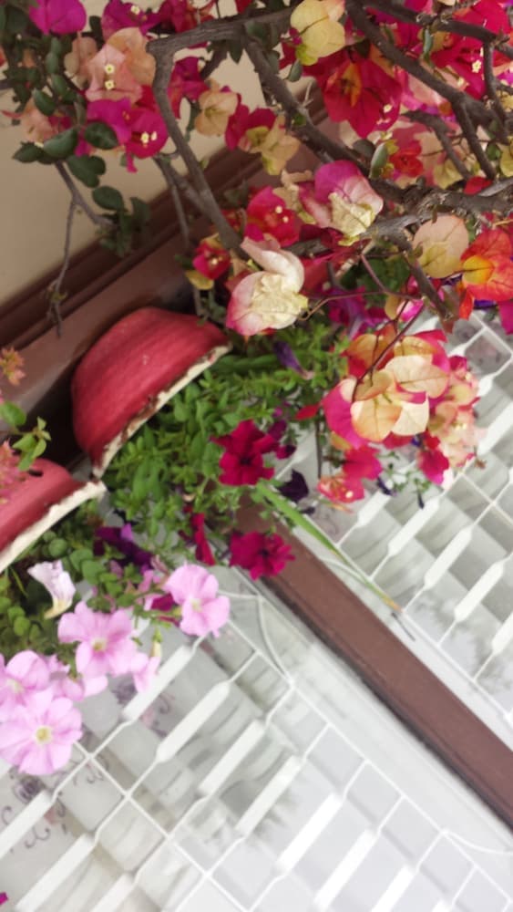 Dipankara Holiday Home photo 7