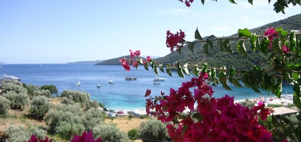Poros Beach photo 5