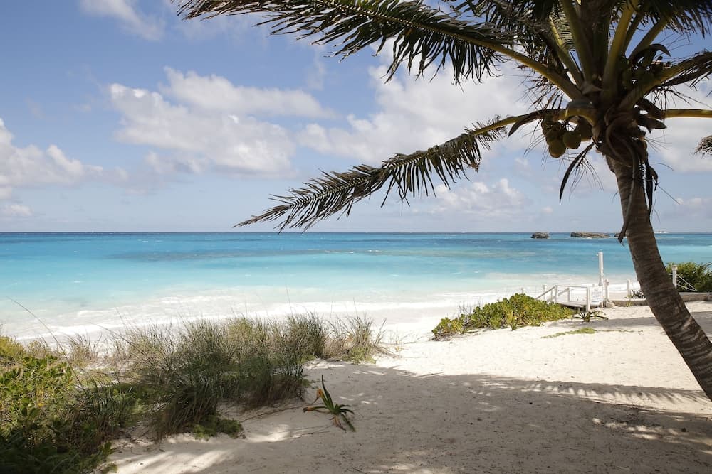 Exuma Palms photo 4