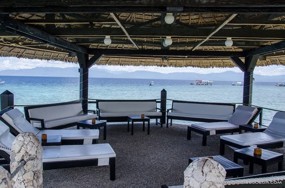 Dolphin House photo 6