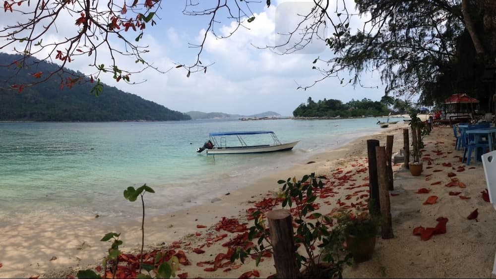 The Barat Perhentian Beach Resort photo 6