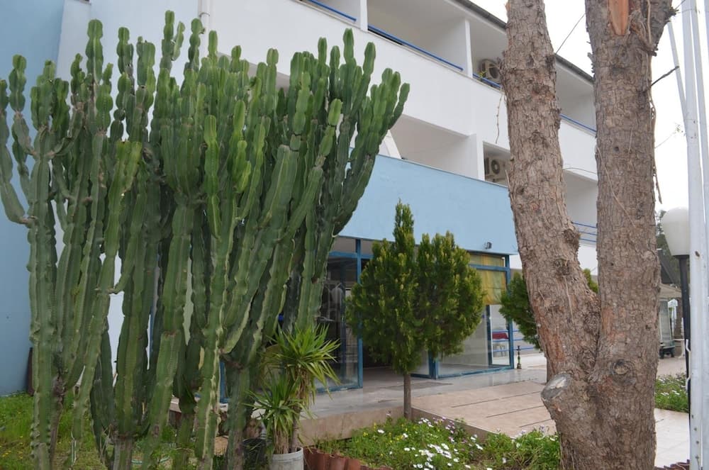 Park Avrupa Hotel photo 4