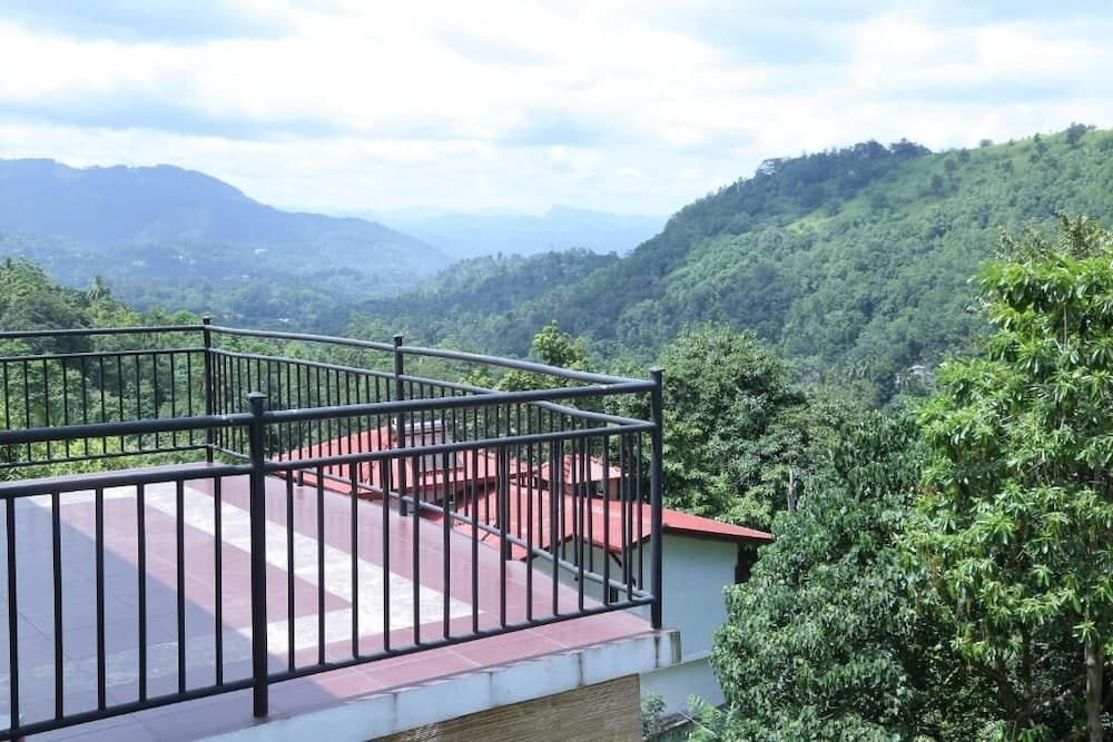 The Springfields Kandy photo 6