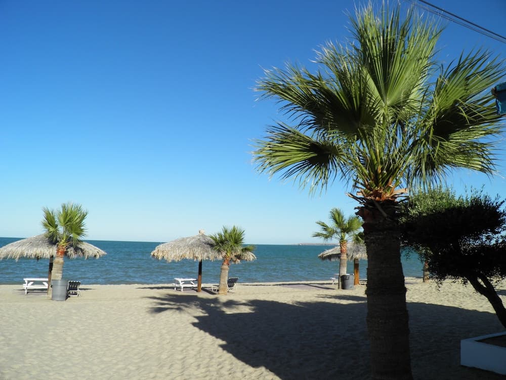Seaside Hotel & Victor's RV Park photo 6