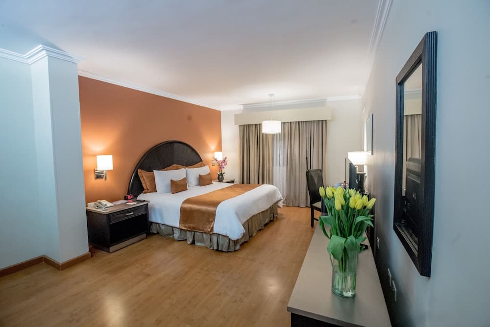Hotel Plaza de Oro photo 9