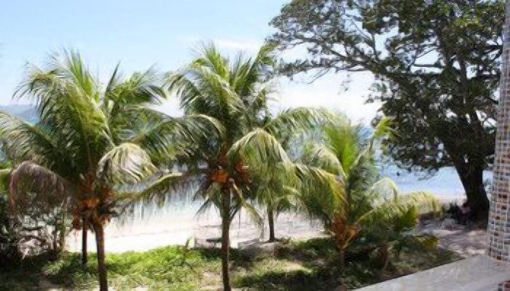 Moonlight Beach Villa photo 3