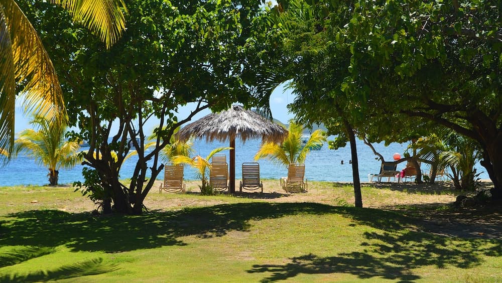 Oualie Beach Resort photo 8