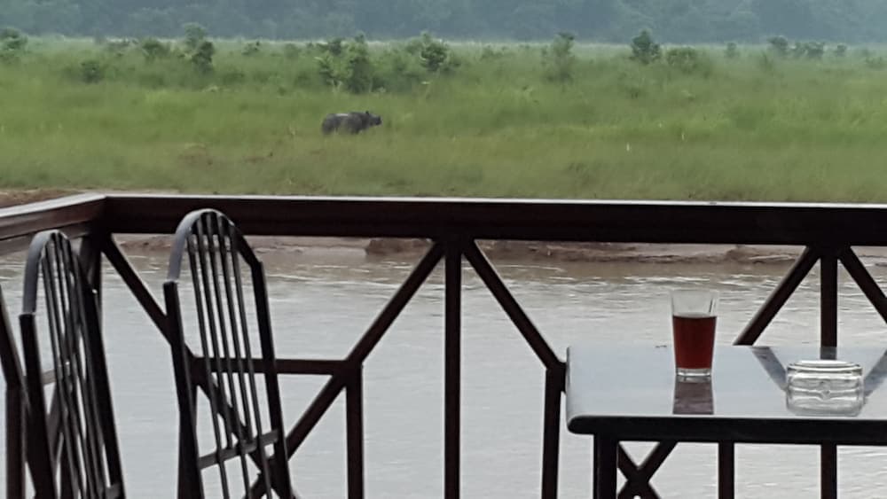 Jungle Wildlife Camp photo 2