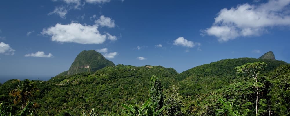 La Dauphine Estate photo 5