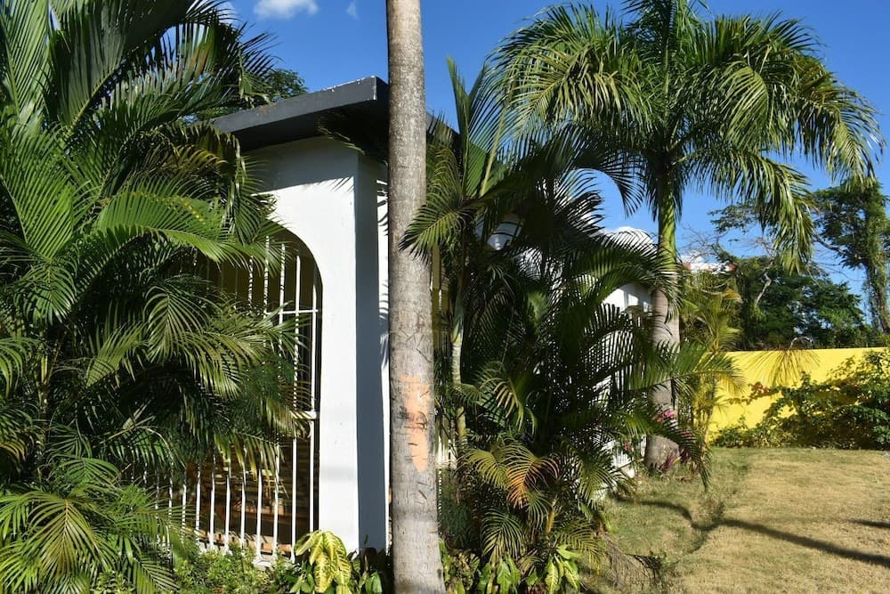 CASA TROPICAL  RD photo 2