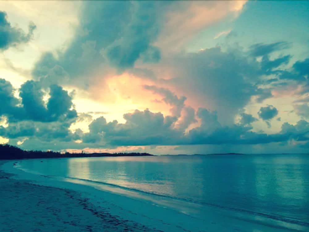 Paradise Bay photo 4