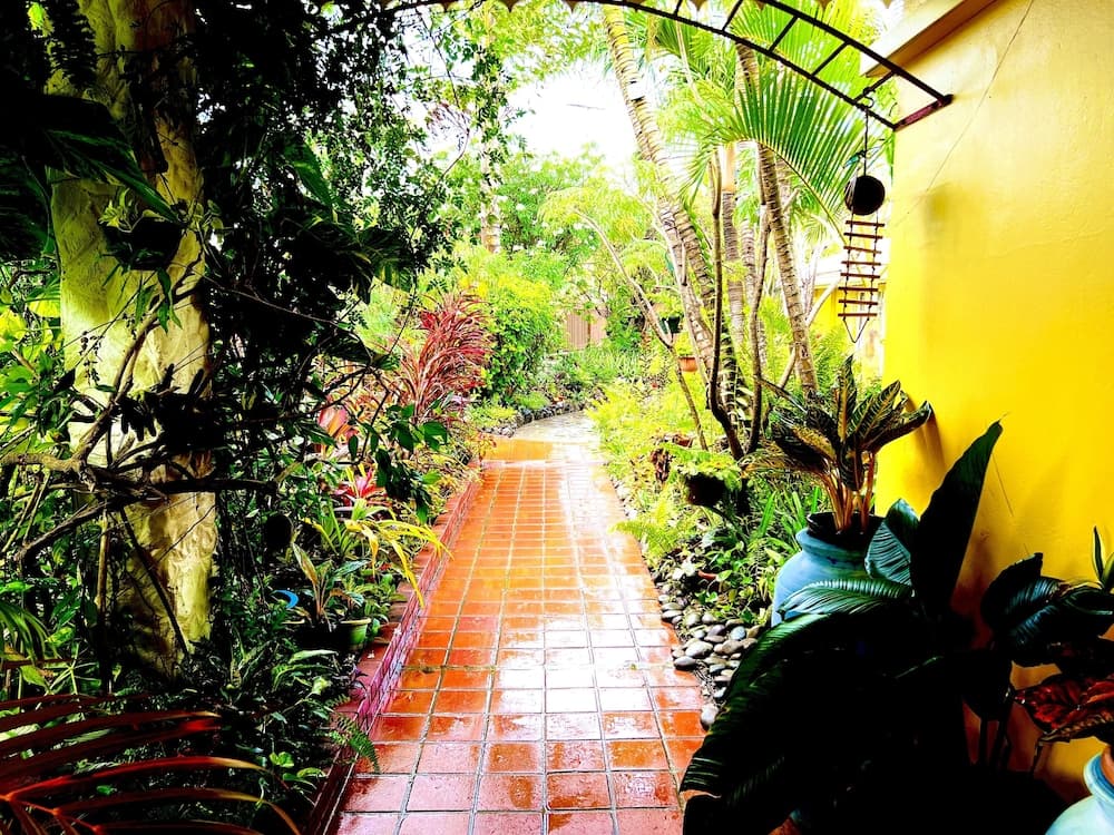 Limetree villa photo 4