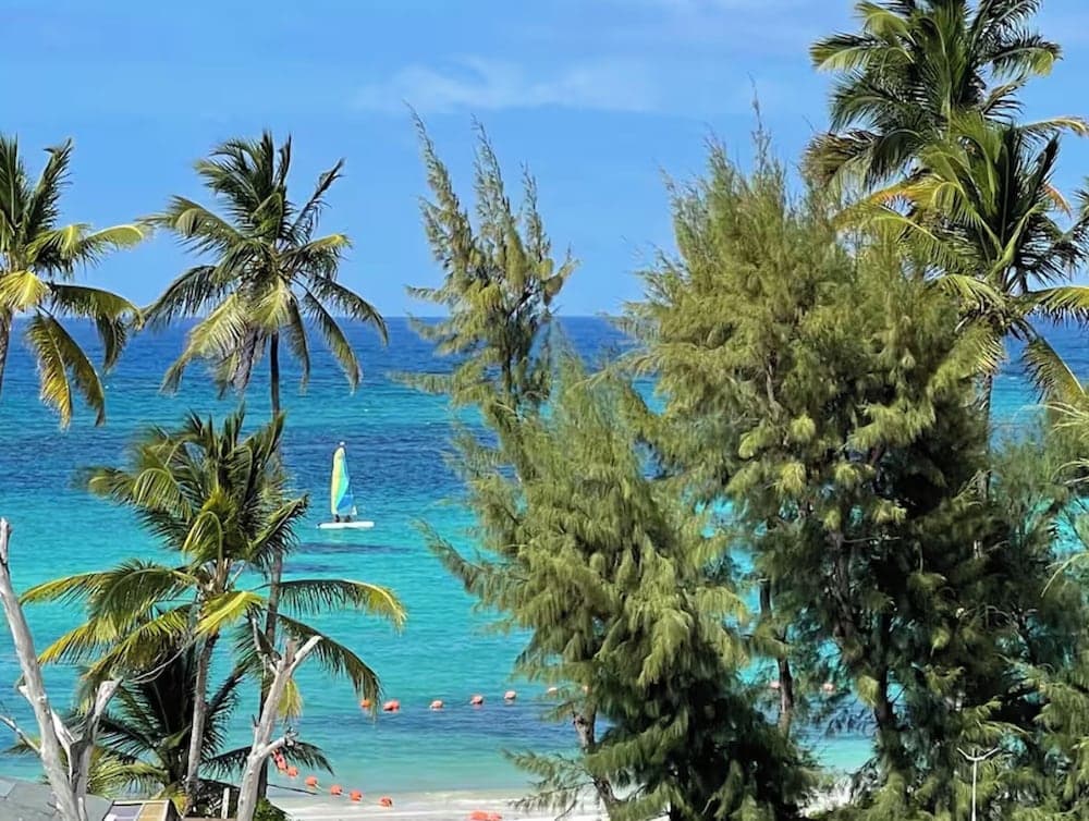TROPICAL RETREAT at PLAYA LOS CORALES photo 4