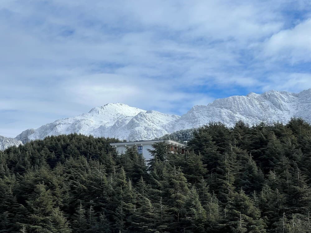 Hotel El-Arz photo 4
