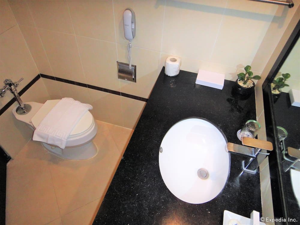 Mallberry Suites Business Hotel photo 4