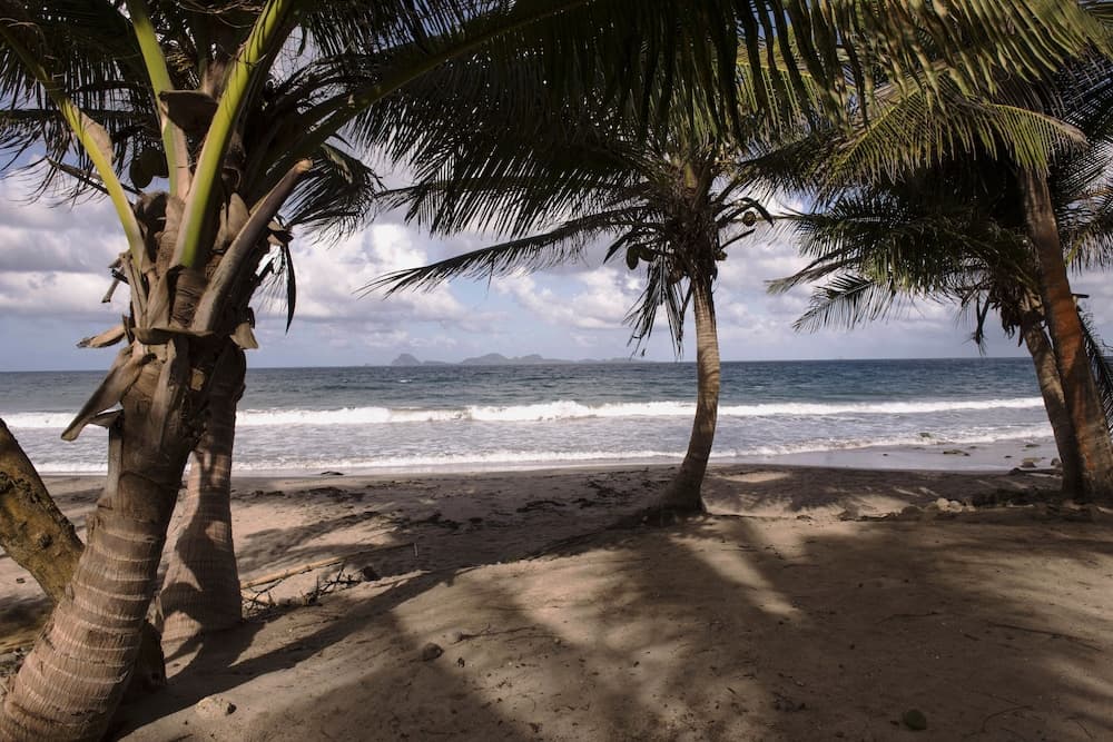 Petite Anse Hotel photo 5