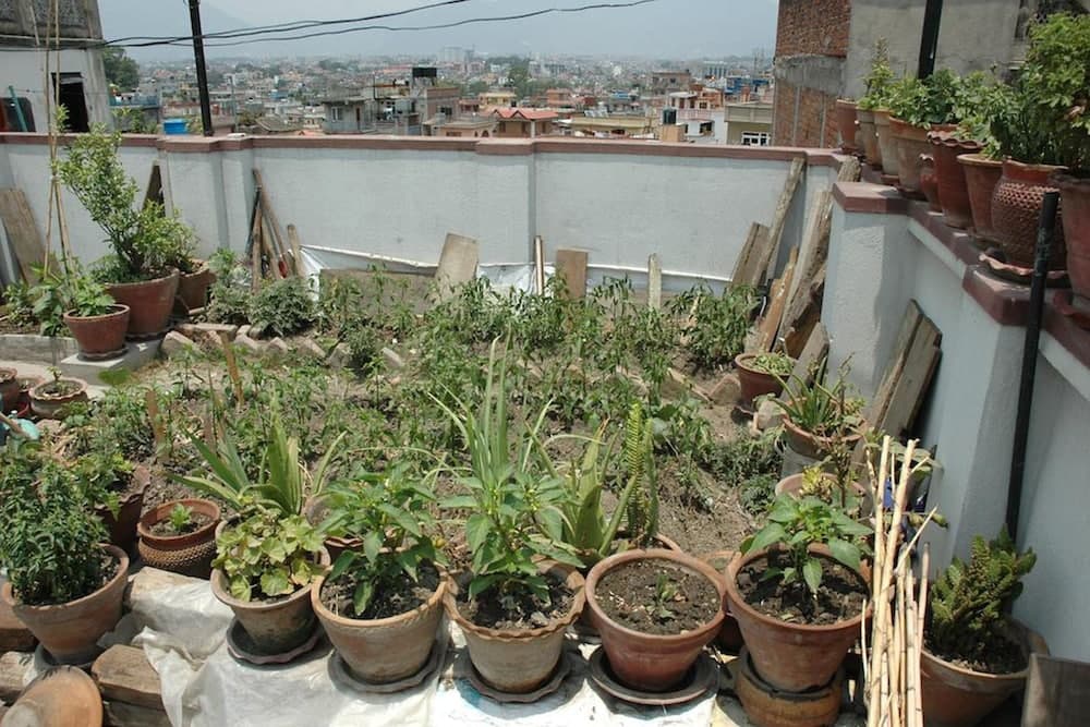 Magic Nepal Homestay photo 5