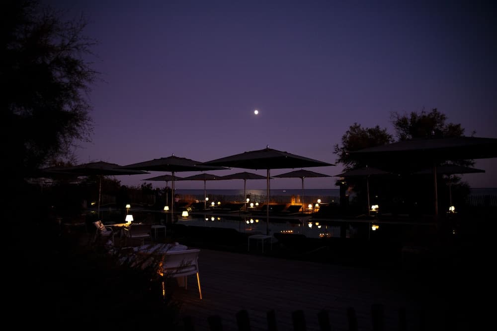 Hôtel Plage Palace photo 3