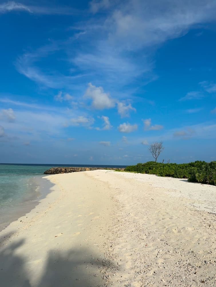 Rattehi Inn at Rakeedhoo photo 5