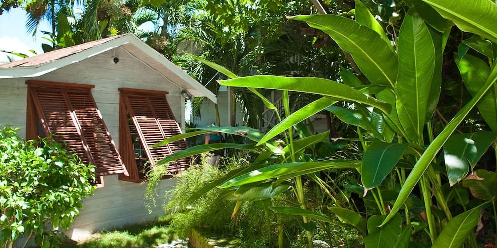 ECO Lifestyle & Lodge photo 5