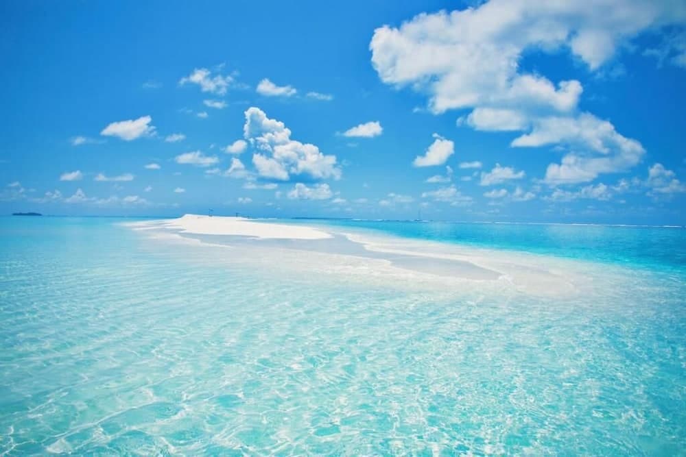 Palm Gate Maldives photo 5