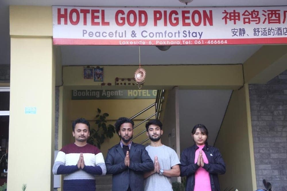 Hotel God Pigeon photo 2