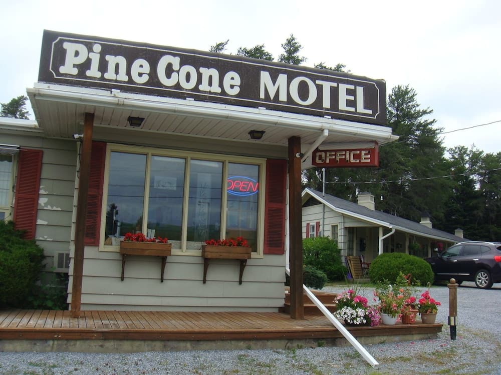 Pine cone Motel photo 7