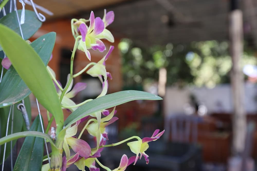 Eco-Home photo 6