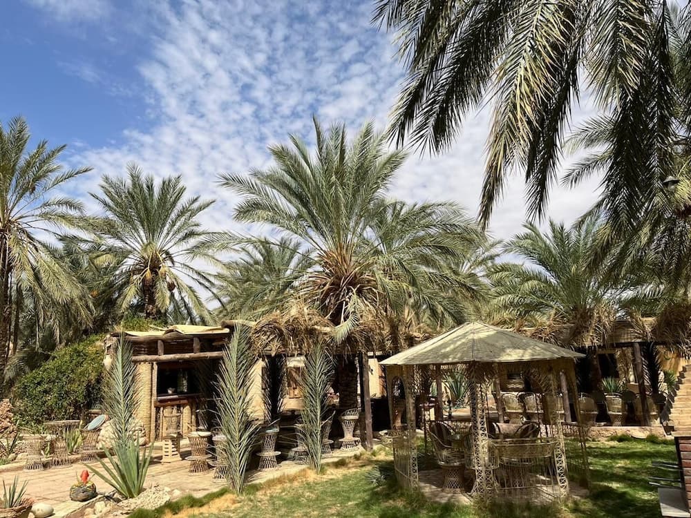 DAR HORCHANI photo 8