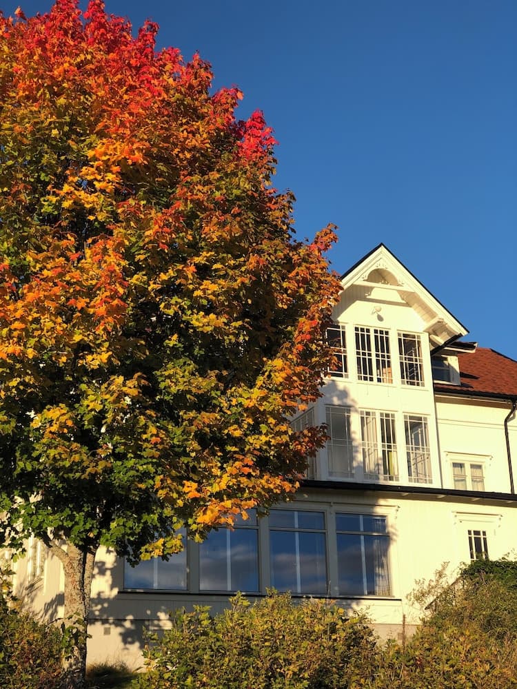 Mesnabakken pensjonat photo 3