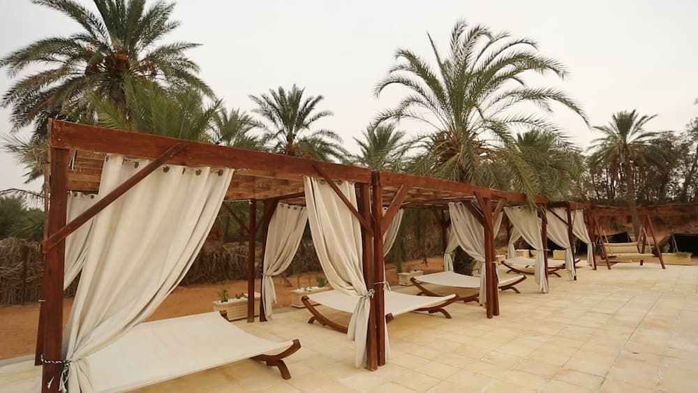 Ecolodge Ksar Ghilane photo 7