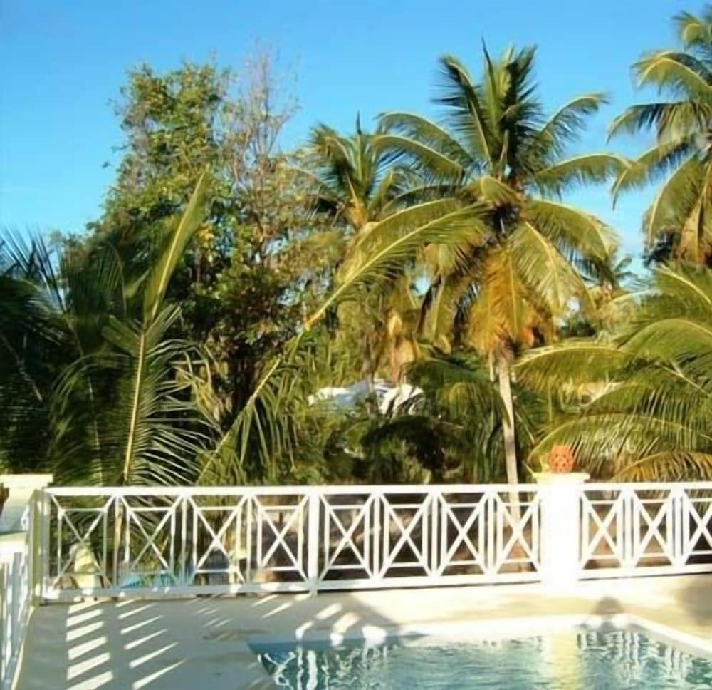 Yellow Bird Villa photo 6